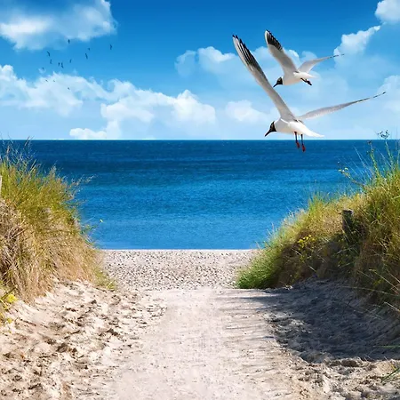 1 House B 150 Vakantiehuis *