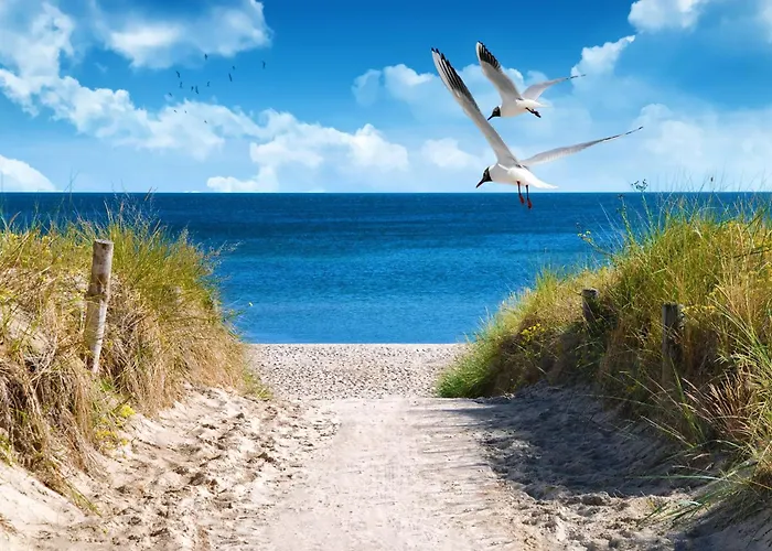 1 House B 150 Vakantiehuis *